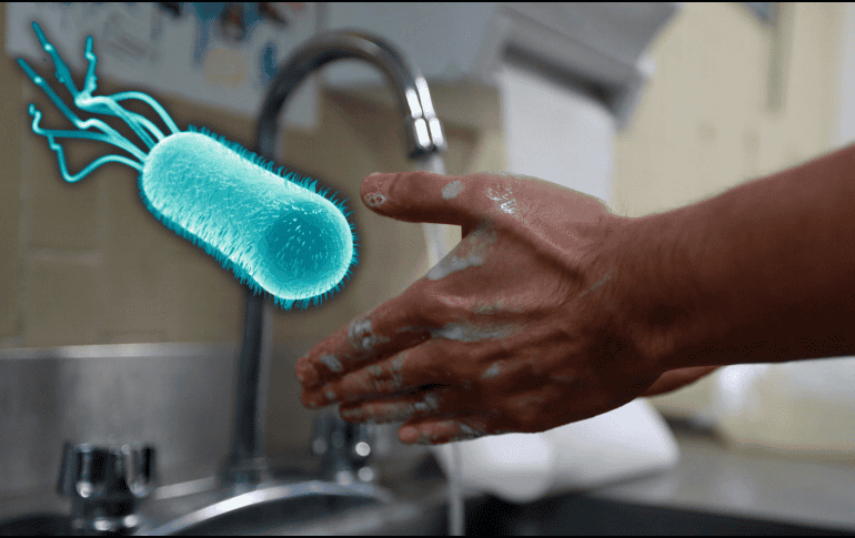 Para prevenir este tipo de infección es crucial mantener un correcto lavado de manos y de los alimentos. NTX / ARCHIVO
