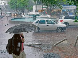A pesar de que el crucero de Vallarta y Chapultepec es uno de los más transitados, los bolardos instalados para proteger a los peatones están en el olvido. EL INFORMADOR/ H. Figueroa
