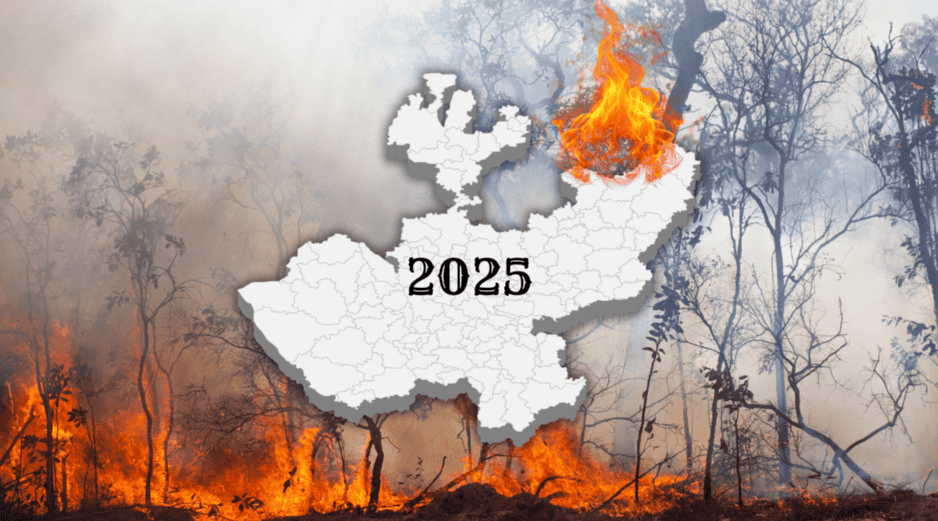 Jalisco sigue dentro del promedio histórico de incendios. ESPECIAL / CANVA
