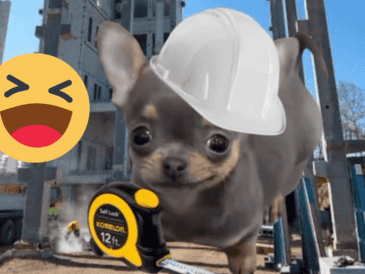 Las redes sociales están inundadas de memes muy ingeniosos y divertidos por el Día del Ingeniero. X/ESPECIAL