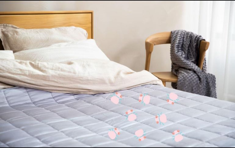 Estas diminutas partículas son responsables de muchas alergias respiratorias, estornudos, congestión nasal, y en casos más graves, asma. UNSPLASH.