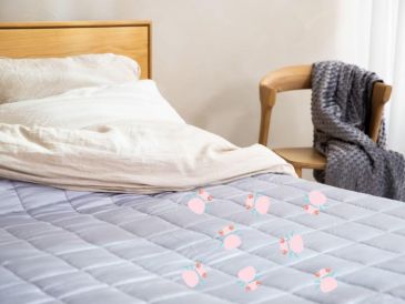 Estas diminutas partículas son responsables de muchas alergias respiratorias, estornudos, congestión nasal, y en casos más graves, asma. UNSPLASH.