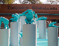 El Zoológico Guadalajara anunció un horario diferente a lo habitual, esto por las vacaciones de verano para que planees tu visita y goces al máximo de todas las atracciones. EL INFORMADOR/ ARCHIVO