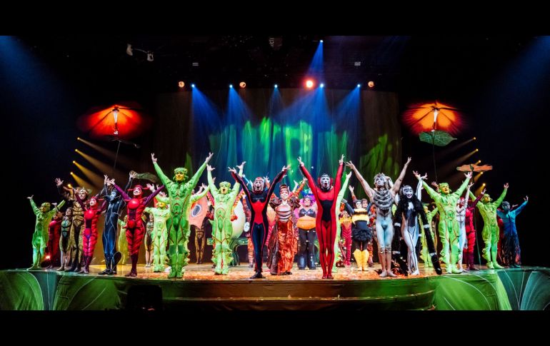 La zumbante aventura de Cirque du Soleil te sorprenderá / FOTO: CORTESÍA OCESA
