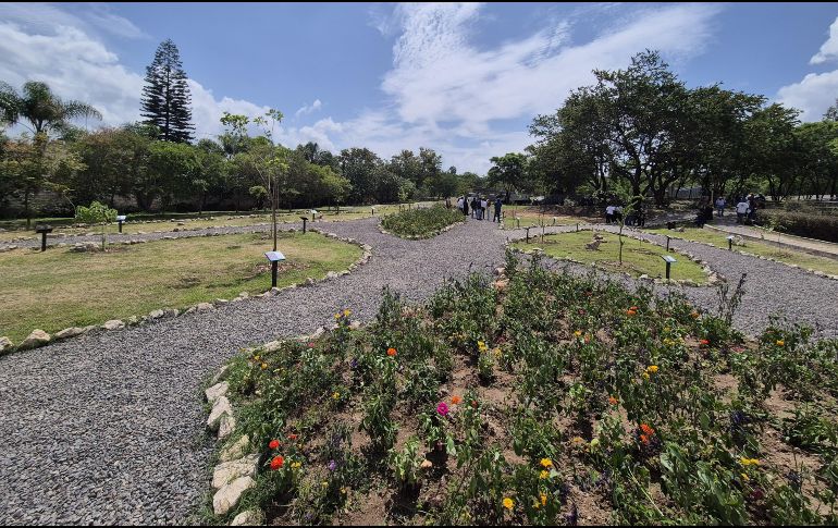 Con una inversión de 100 mil pesos, comenzó la plantación de especies, así como la rehabilitación del lugar y el mantenimiento de áreas verdes. EL INFORMADOR / O. González