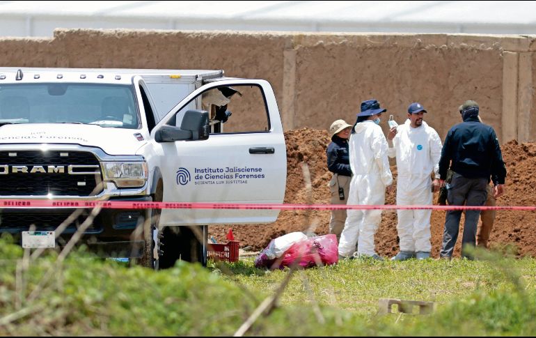La búsqueda dentro del predio delimitado concluyó, pero continúan en el terreno aledaño. AFP/U. Ruiz
