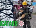 Bomberos de Guadalajara lograron rescatar un gato a 15 metros de altura; ahora el felino busca a sus dueños. ESPECIAL / FACEBOOK Protección Civil y Bomberos GDL