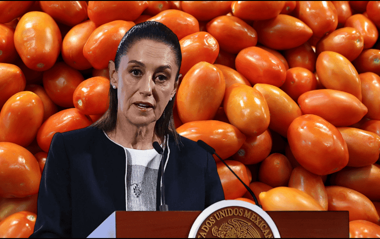 Sheinbaum aseguró que su gobierno se encuentra trabajando para que haya menores efectos por esta situación. EL INFORMADOR/ARCHIVO SUN/B. Fregoso