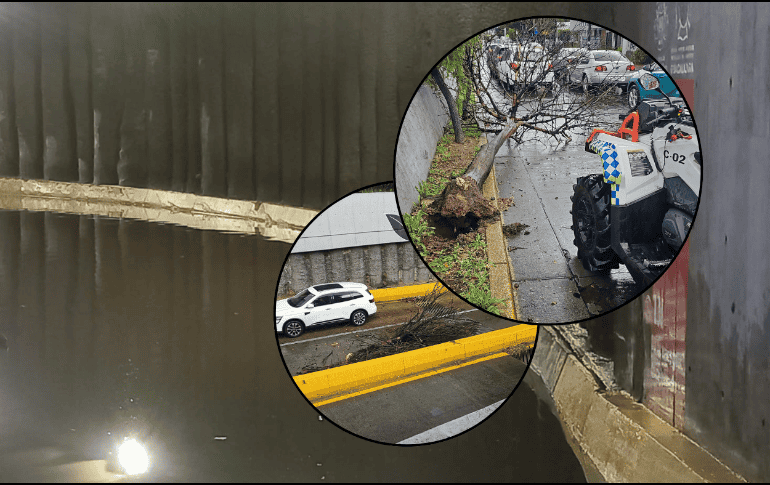 Inundaciones y caída de árboles son parte de las afectaciones por la lluvia de ayer. ESPECIAL/Policía Vial Jalisco