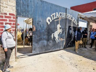 De acuerdo con la autoridad, los indicios están siendo analizados y procesados en los laboratorios del Centro Federal Pericial Forense, así como en el sector Regional con sede en la Fiscalía Federal de Jalisco. EL INFORMADOR / ARCHIVO