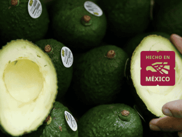 Entre los principales estados productores del "oro verde" se encuentran Michoacán y Jalisco. EFE / ARCHIVO