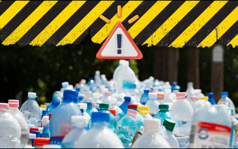 Las pequeñas cantidades de bisfenoles que se desprenden de los recipientes plásticos al calentar los alimentos generan la expresión de ciertos genes que activan la proliferación de células cancerosas. ESPECIAL / CANVA