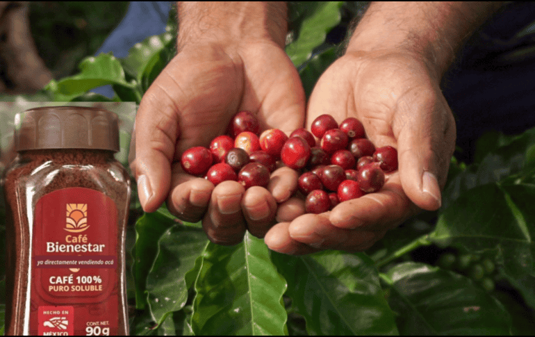 El Café Bienestar es un producto mexicano que une sabor, sustentabilidad y justicia social. GOBIERNO DE MÉXICO