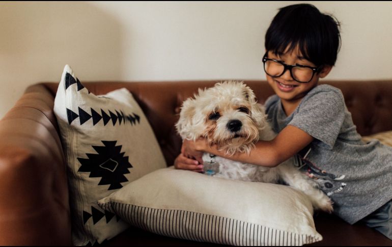 Entender por qué lo hace puede ayudarte a fortalecer aún más ese lazo tan especial. Y aunque es normal, también es importante enseñarle a estar tranquilo cuando no estás presente, para garantizar su bienestar emocional. CANVA