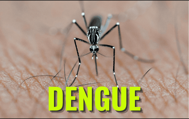 El fortalecimiento de la estrategia estatal contra el dengue ha dado como resultado la reducción de casos en la región. ESPECIAL