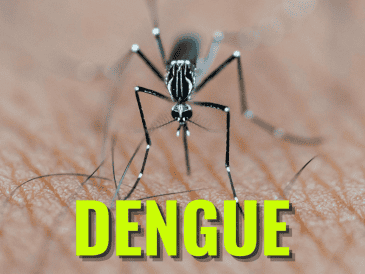 El fortalecimiento de la estrategia estatal contra el dengue ha dado como resultado la reducción de casos en la región. ESPECIAL