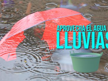 Estos son algunos tips a tomar en cuenta para aprovechar el agua de la lluvia. EL INFORMADOR / ARCHIVO