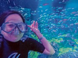 Durante el recorrido, el visitante puede sentirse perteneciente a este mundo marino. EL INFORMADOR