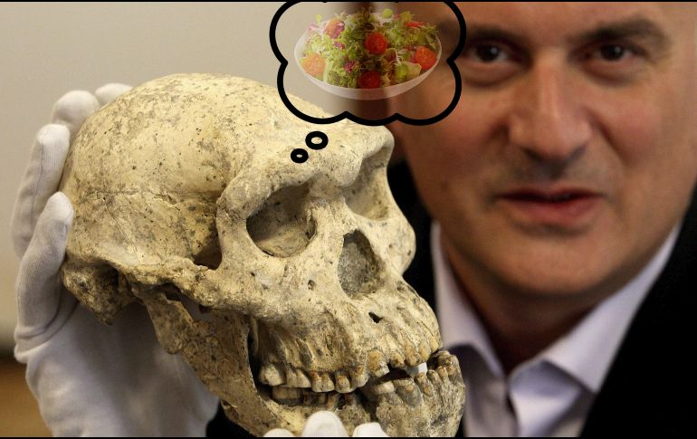 Realizan importante descubrimiento parte de la evolución. EFE / ARCHIVO