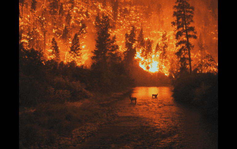 Las emisiones de incendios forestales en Nuevo México fueron, en julio, las terceras más altas desde que hay registros, únicamente superadas por las de los años 2011 y 2003. ESPECIAL / Canva
