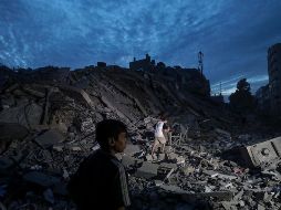 Esta iniciativa se llevará cabo 