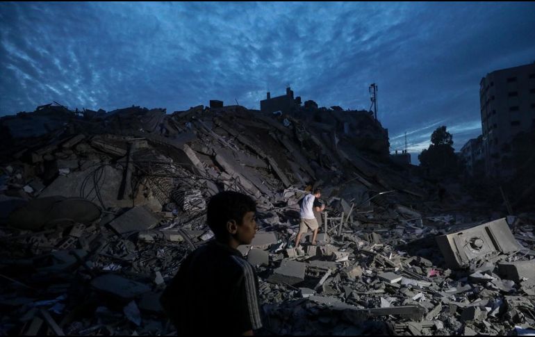 Esta iniciativa se llevará cabo 