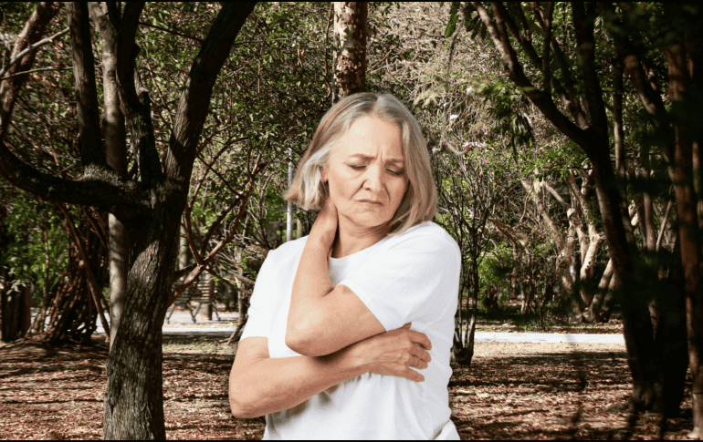 A pesar de que en México esta afección no es muy común, para evitar contraer esta enfermedad infecciosa, se recomienda evitar áreas arboladas durante los meses cálidos. EL INFORMADOR / ARCHIVO / ESPECIAL / CANVA