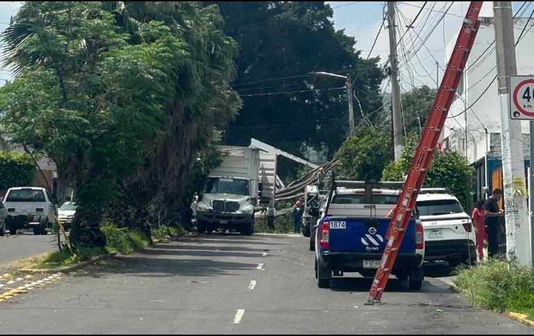 Se han contabilizado al menos 60 árboles caídos tras las fuertes lluvias registradas en las últimas horas. ESPECIAL / FACEBOOK Policía Vial Jalisco
