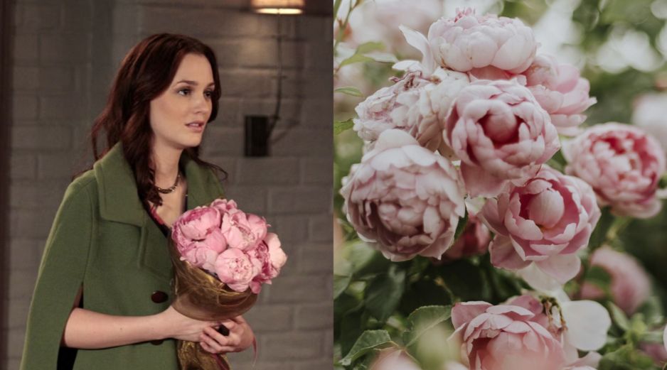 Las flores favoritas de los personajes de TV. ESPECIAL