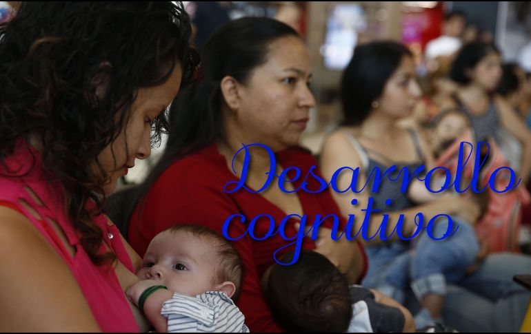 La leche materna contiene ácidos grasos poliinsaturados de cadena larga, neurotransmisores y factores hormonales que son esenciales para el desarrollo cerebral. EFE / ARCHIVO