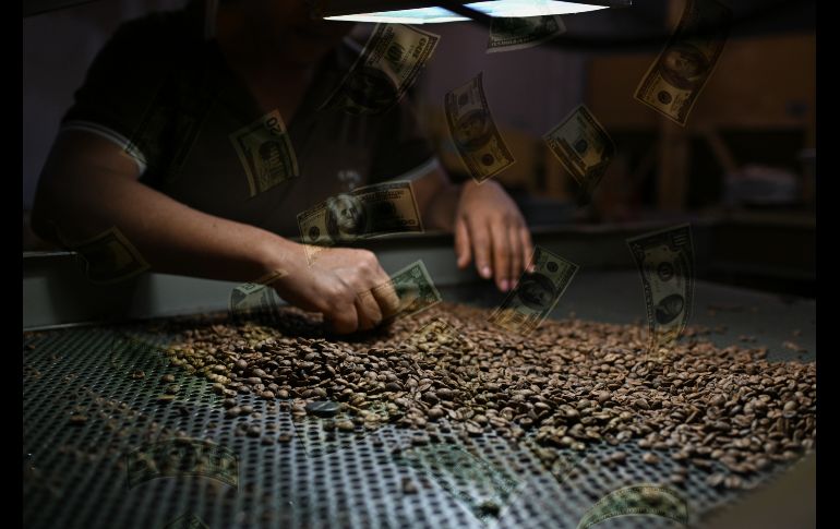 Todos los cafés con precios récords fueron cosechados en este pequeño pueblo. EFE / ARCHIVO