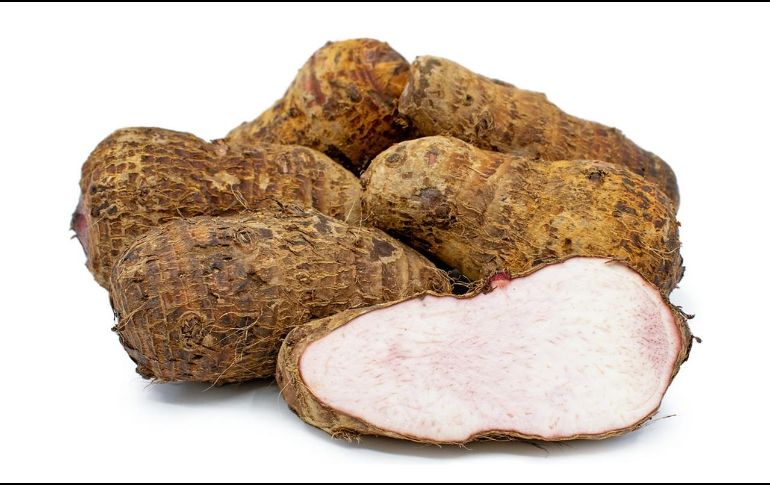 El taro es conocido por las múltiples propiedades y beneficios que tiene para la salud del cuerpo humano. Pixabay