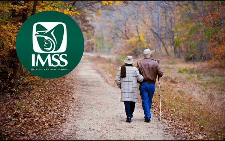 Si ya estás inscrito en la Modalidad 40 del IMSS debes saber que ya hay una manera de evitar las filas en el banco. ESPECIAL/ Pixabay