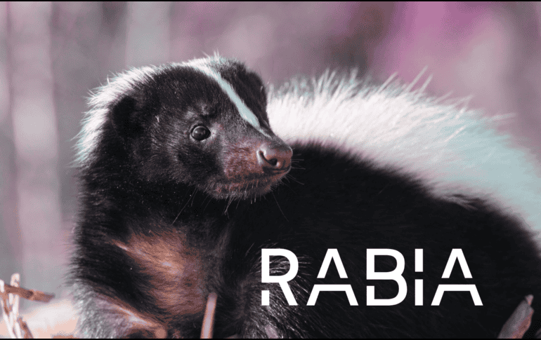 La joven se encuentra hospitalizada en terapia intensiva y su estado de salud es grave.  ESPECIAL / CANVA