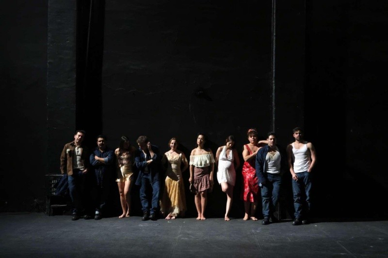 El elenco está conformado por destacados actores como Rodrigo Virago (Stanley Kowalski), Astrid Mariel Romo (Stella), Ana Clara Castañón, Alejandro Morales, Mónica Jiménez, Andrés Penella, Rodolfo Zurco, y Patricia Vaca. CORTESÍA/ Conjunto Santander de Artes Escénicas