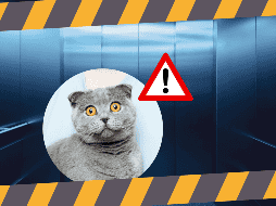 Sin duda es importante aclarar que el desplome de un elevador en nuestra época es casi imposible que suceda debido a los avances tecnológicos y mecánicos involucrados en el funcionamiento de estos. SPLASH / B. Kelzer / A. Umansky