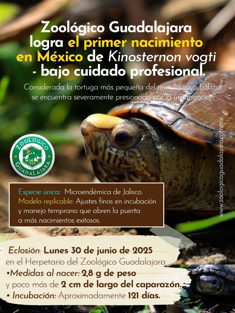 CORTESÍA/ Zoológico Guadalajara