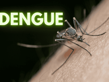 Desde enero se han puesto en marcha brigadas en el Área Metropolitana de Guadalajara (AMG) y otros municipios del estado para controlar la propagación del dengue. ESPECIAL