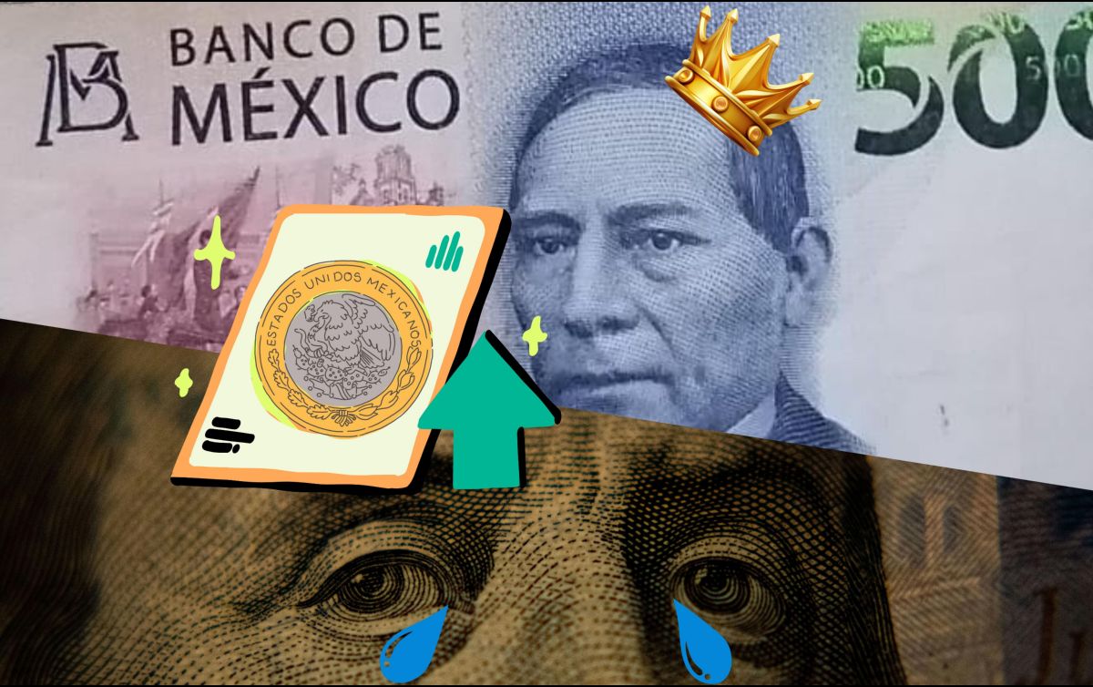 El Banco de México informó que el cierre del precio del dólar el día de ayer fue de 18.63 pesos por divisa estadounidense. UNSPLASH / A. Nir / ESPECIAL / F. Flores