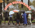 La probabilidad de lluvia en Guadalajara es mayor por la tarde, alrededor de las 05:00 pm y por la noche, a las 11:00 pm. ESPECIAL / CANVA