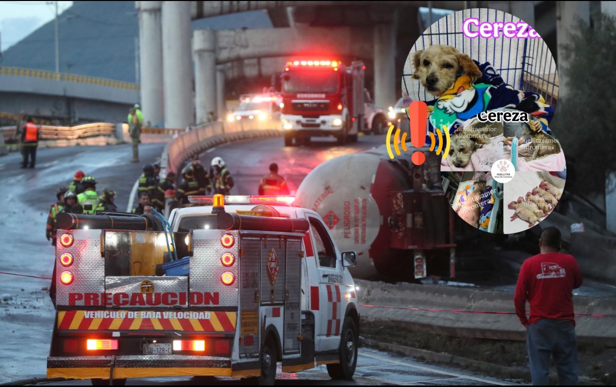 Esto es lo último que se sabe de 