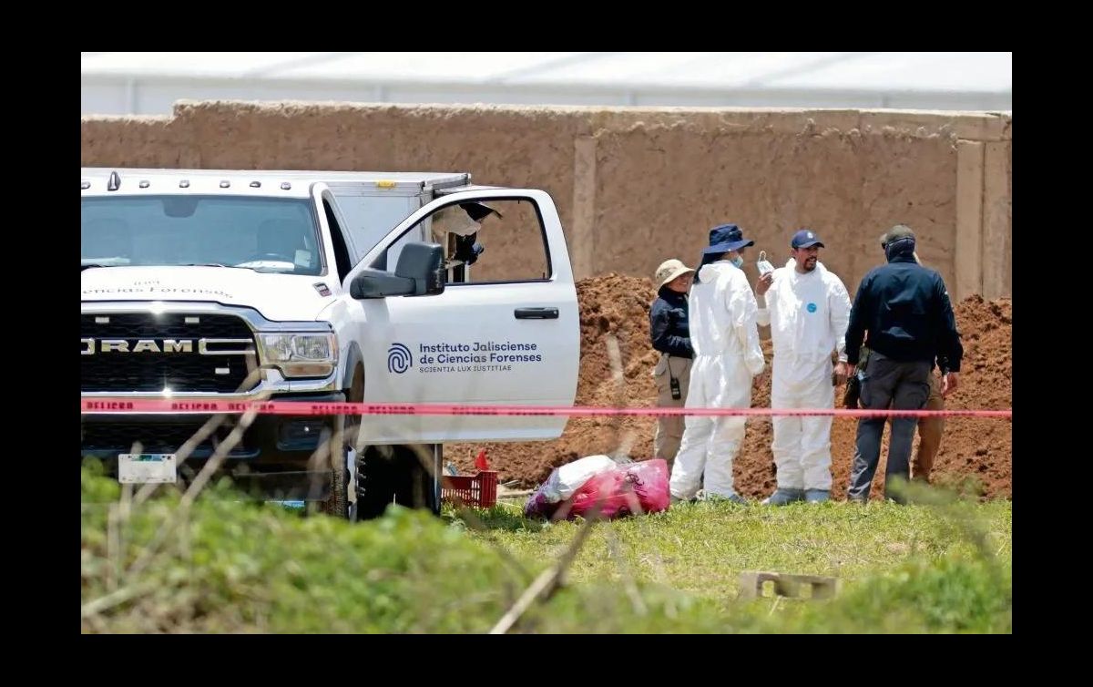 Del total de cuerpos, 25 fueron ya identificados, sin embargo los trabajos continuarán, y de acuerdo con el colectivo estiman que haya más bolsas con restos en este sitio. ESPECIAL