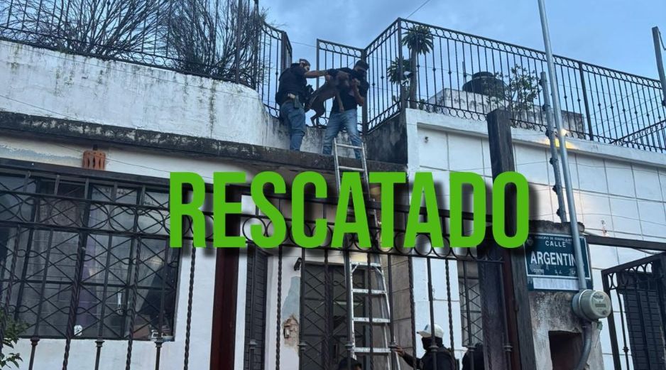 Un perro fue rescatado luego de que fuese abandonado en un domicilio de la colonia Moderna. ESPECIAL