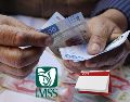 En su portal de Internet, el IMSS publicó a principios de año el calendario oficial de los pagos de la pensión de 2025. ESPECIAL / CANVA