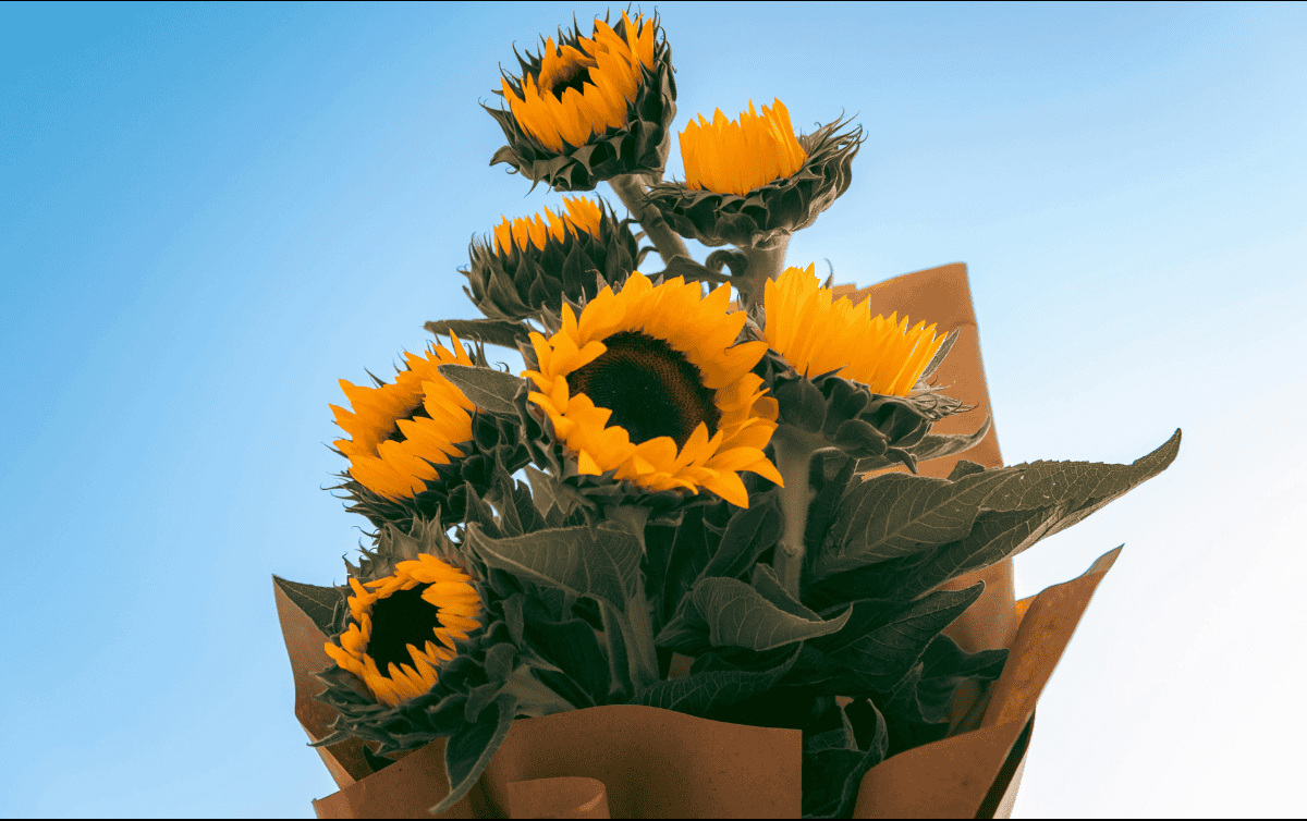 Esta fecha coincide con la llegada de la primavera en el hemisferio sur y con el equinoccio. ESPECIAL