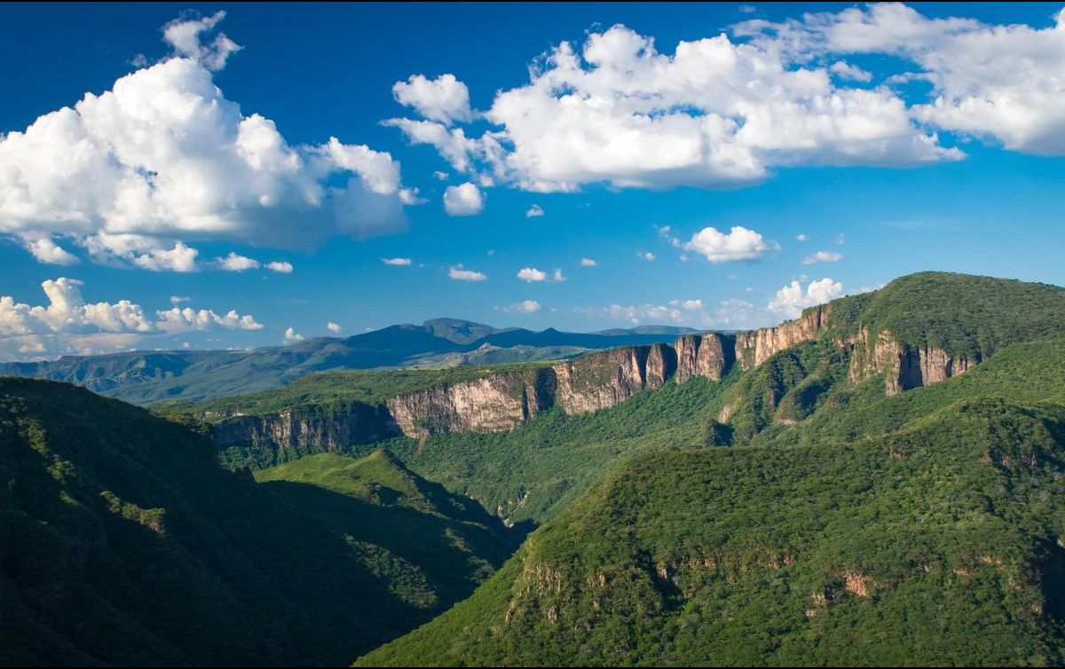 En la Barranca también hay innumerables nacimientos de agua, brotes cristalinos que dan testigo de lo que alguna vez fue el Río Santiago. ESPECIAL