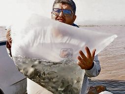 La iniciativa de SADER Jalisco y el municipio de Ocotlán beneficiará a más de 300 pescadores locales. ESPECIAL