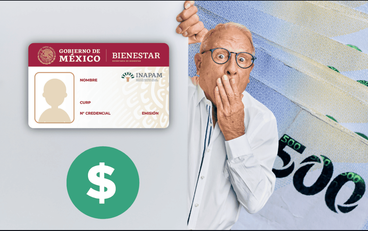 Además de la credencial Inapam, otorgada a personas mayores de 60 años para que tengan beneficios, el instituto también promueve la integración social de este sector de la población. ESPECIAL