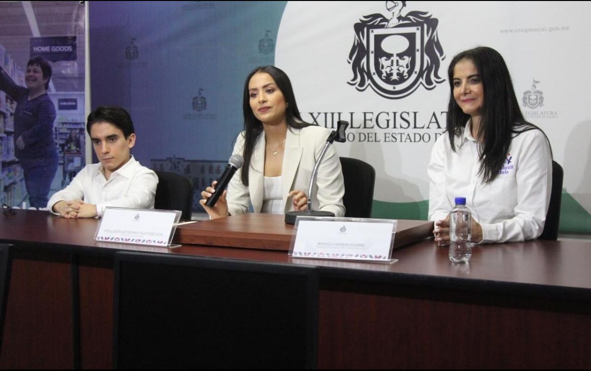 La legisladora destacó que la iniciativa busca que el principio de accesibilidad universal quede establecido en la legislación estatal. CORTESÍA