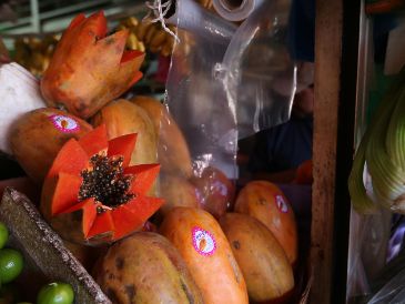 Los expertos en terapias naturales suelen recomendar un consumo controlado de semillas de papaya. ESPECIAL / Canva